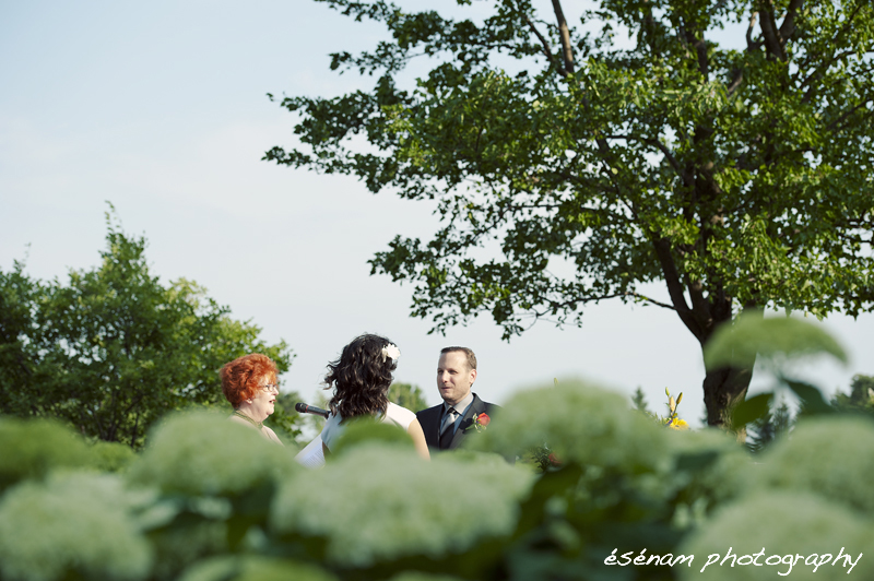 Chicago Wedding Photographer Wedding Photographer Chicago Suburbs Outdoor