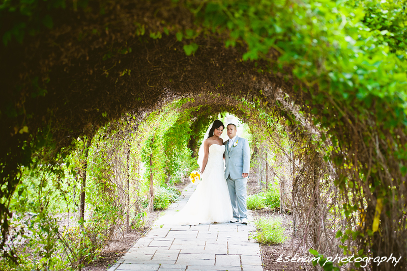 Jordan Patrick s Fabyan Japanese Garden  Wedding  