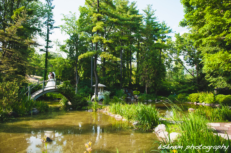 Jordan Patrick S Fabyan Japanese Garden Wedding Chicago Il