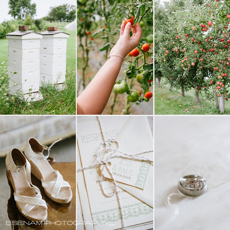 heritage-prairie-farm-wedding