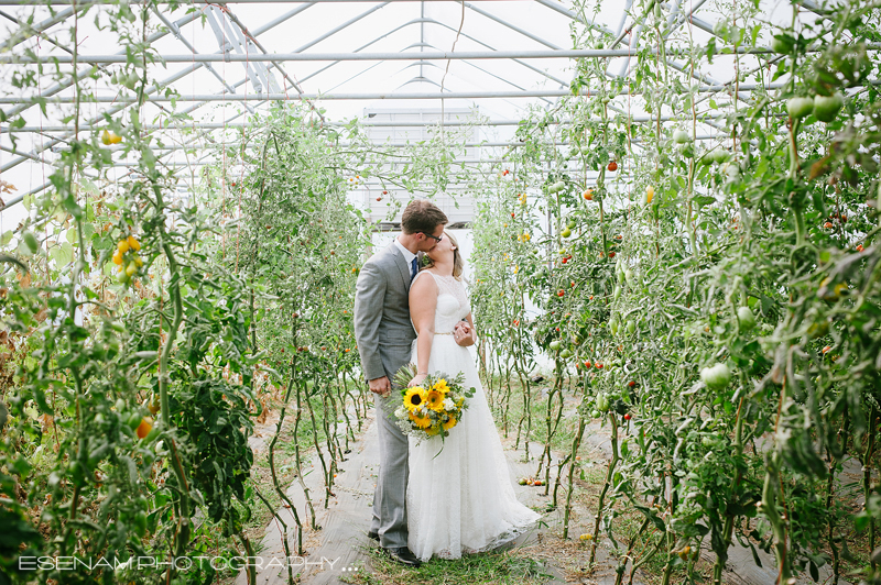 heritage-prairie-farm-wedding