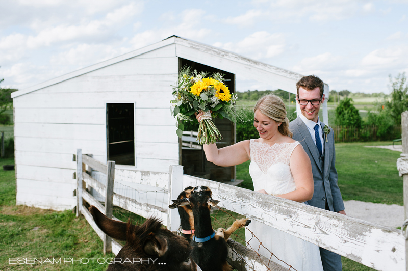 heritage-prairie-farm-wedding