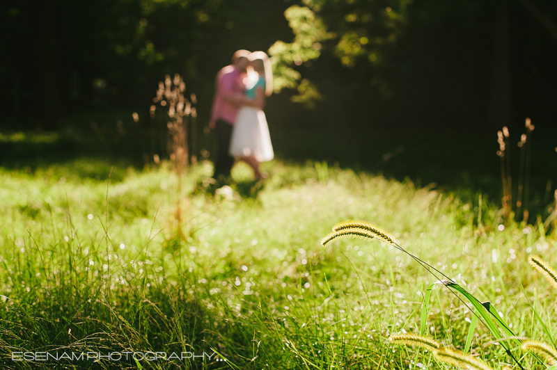 Geneva-IL-Engagement-Pictures