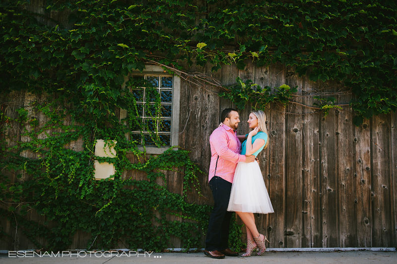 Geneva-IL-Engagement-Pictures