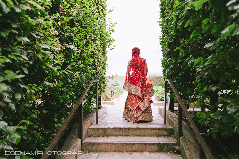 Chicago-Cultural-Center-Wedding