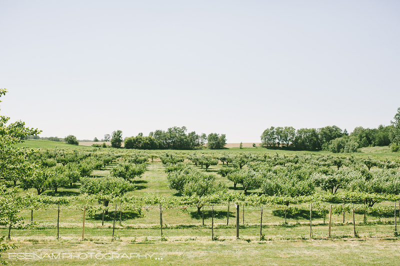 acquaviva-winery-wedding-photos