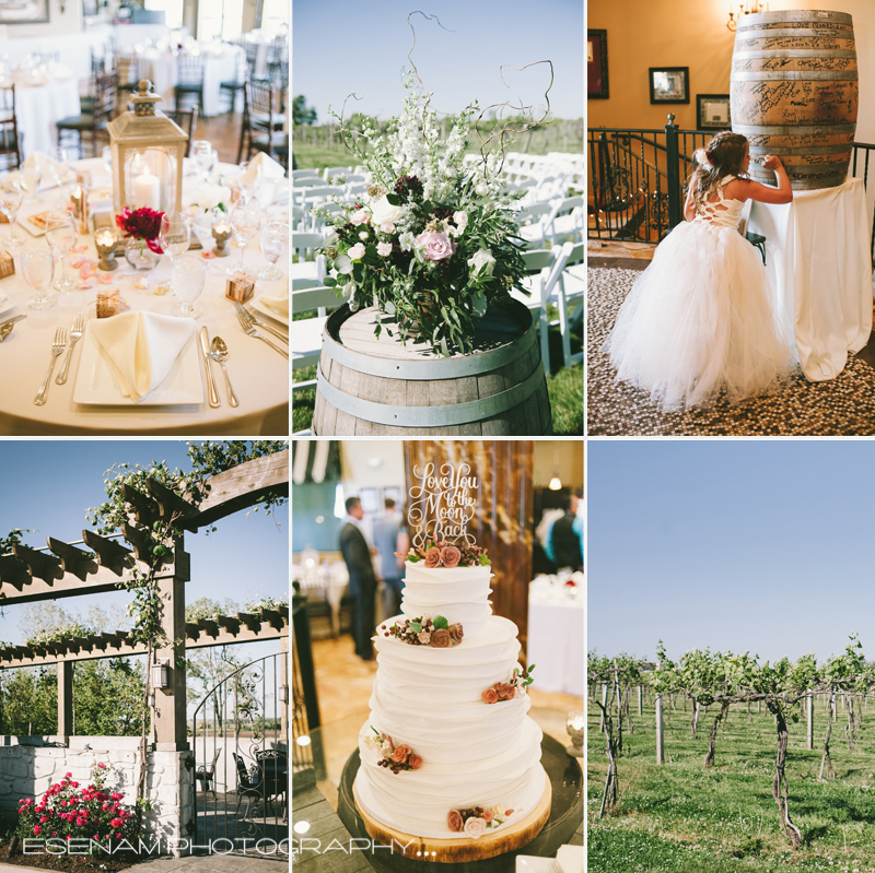 acquaviva-winery-wedding-photos