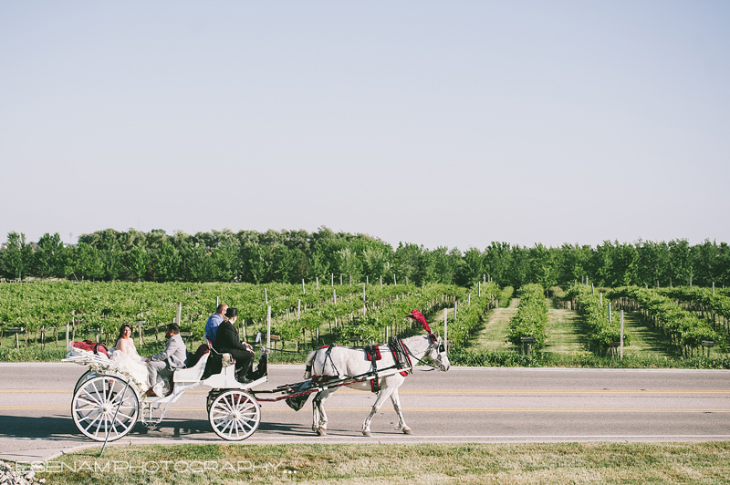 acquaviva-winery-wedding-photos