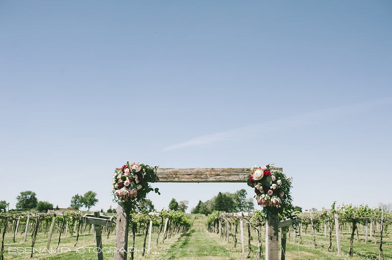 acquaviva-winery-wedding-photos