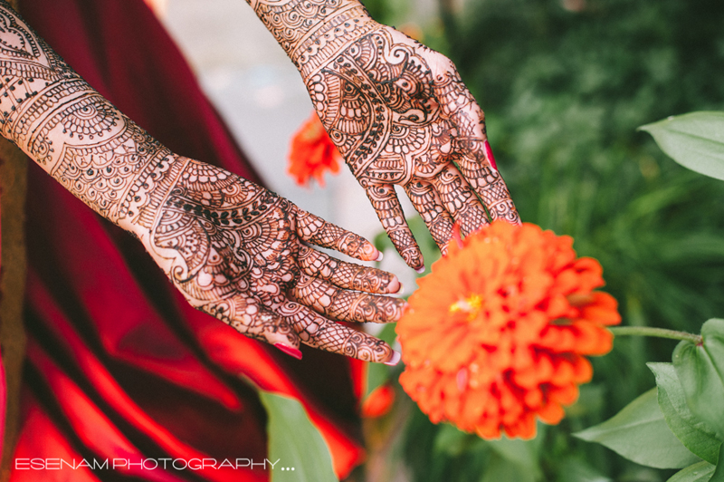 indian-wedding-renaissance-schaumburg